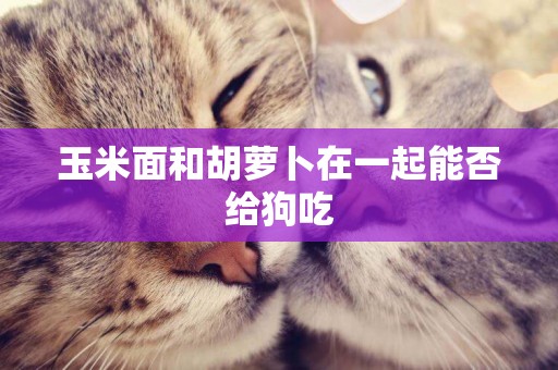玉米面和胡蘿卜在一起能否給狗吃