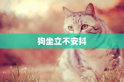 狗坐立不安抖