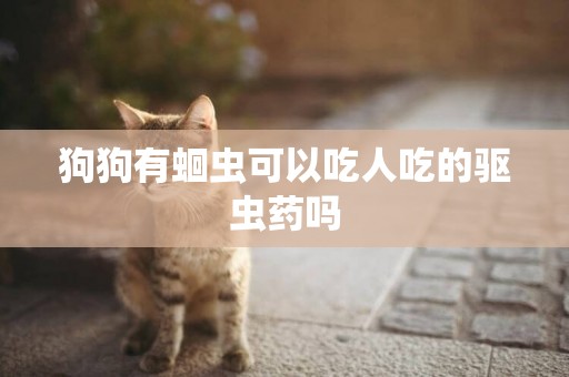 狗狗有蛔蟲可以吃人吃的驅蟲藥嗎