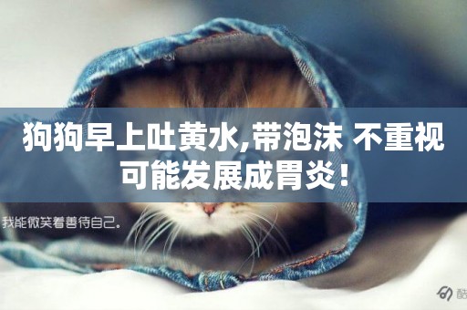 狗狗早上吐黃水,帶泡沫 不重視可能發展成胃炎！