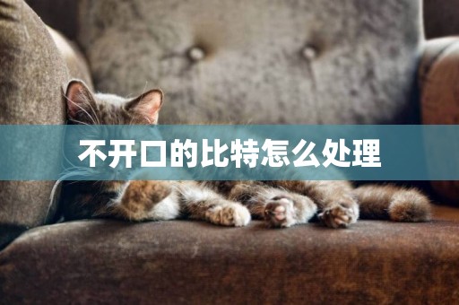 不開口的比特怎么處理