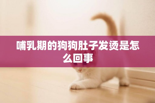 哺乳期的狗狗肚子發燙是怎么回事