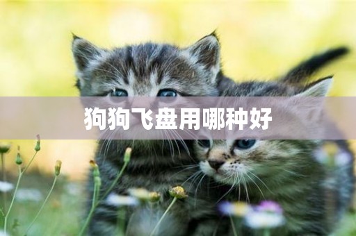 狗狗飛盤用哪種好