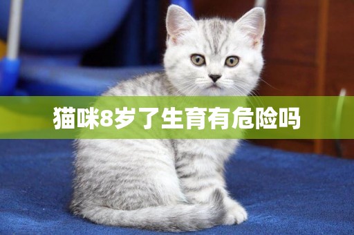 貓咪8歲了生育有危險嗎