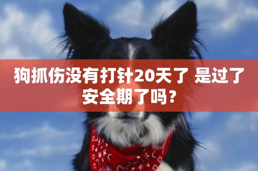 狗抓傷沒有打針20天了 是過了安全期了嗎？