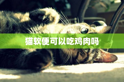 貓軟便可以吃雞肉嗎