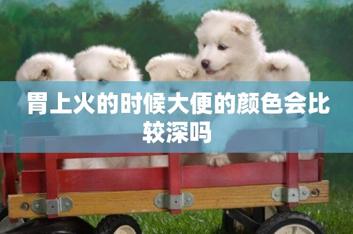 胃上火的時候大便的顏色會比較深嗎