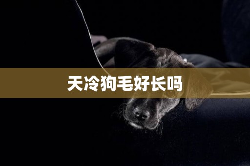 天冷狗毛好長嗎