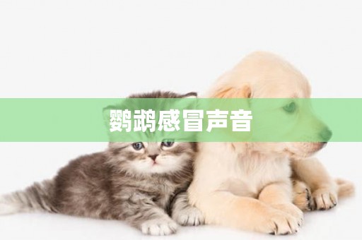 鸚鵡感冒聲音