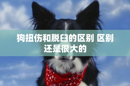 狗扭傷和脫臼的區別 區別還是很大的