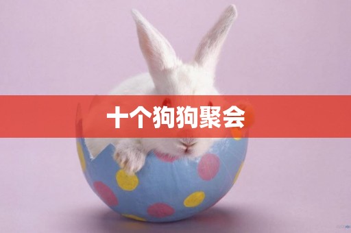 十個狗狗聚會
