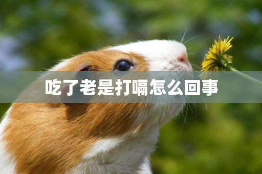 吃了老是打嗝怎么回事