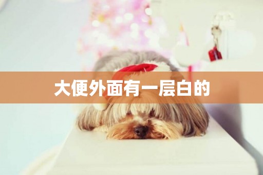 大便外面有一層白的