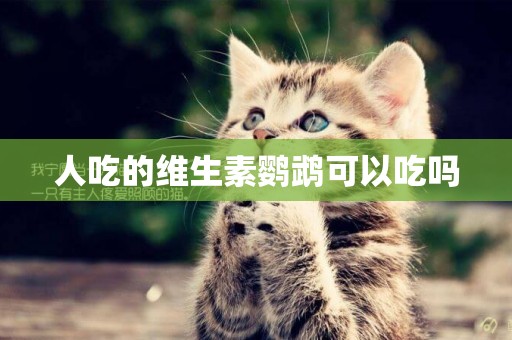 人吃的維生素鸚鵡可以吃嗎