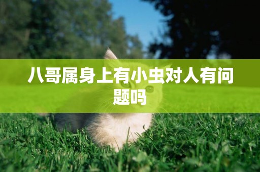 八哥屬身上有小蟲對人有問題嗎