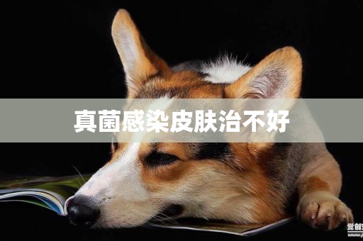 真菌感染皮膚治不好