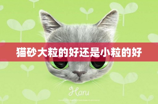 貓砂大粒的好還是小粒的好
