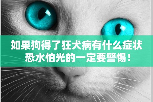如果狗得了狂犬病有什么癥狀 恐水怕光的一定要警惕！