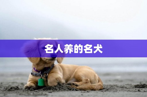 名人養的名犬