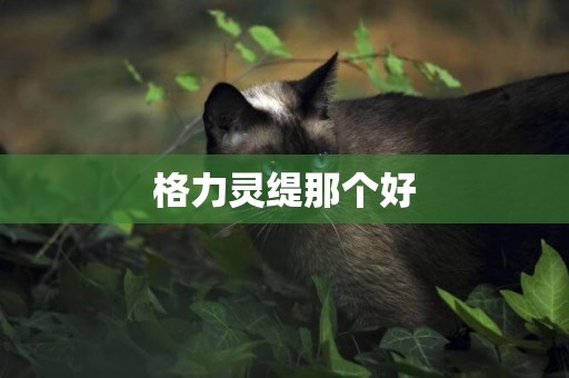 格力靈緹那個好