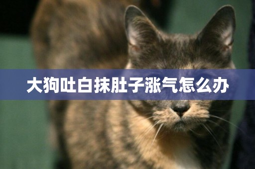 大狗吐白抹肚子漲氣怎么辦