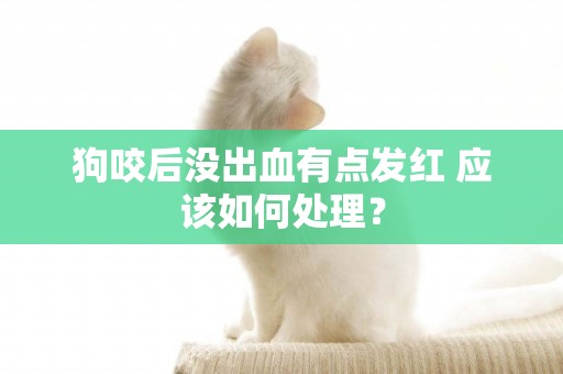 狗咬后沒出血有點發紅 應該如何處理？