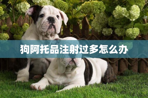 狗阿托品注射過多怎么辦