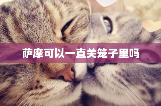 薩摩可以一直關籠子里嗎