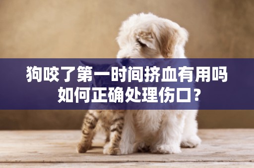 狗咬了第一時間擠血有用嗎 如何正確處理傷口？