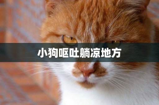 小狗嘔吐躺涼地方