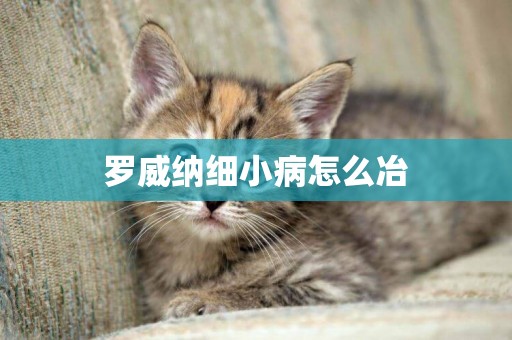羅威納細小病怎么冶