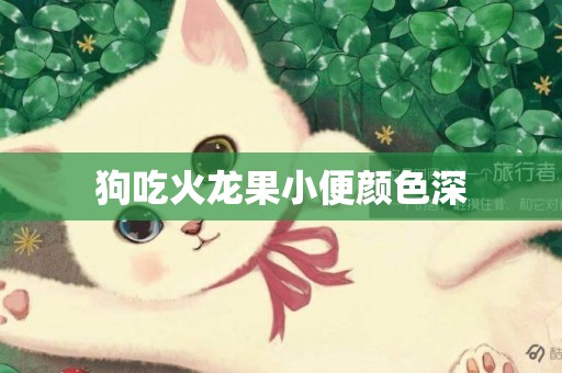 狗吃火龍果小便顏色深