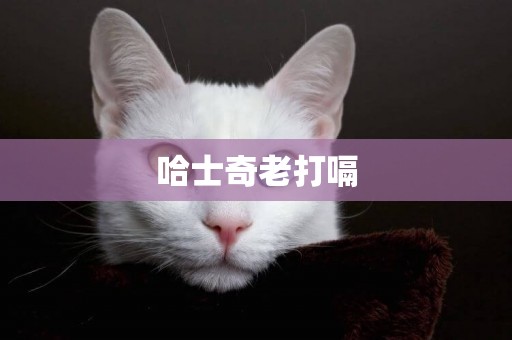 哈士奇老打嗝