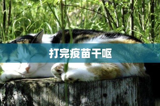 打完疫苗干嘔