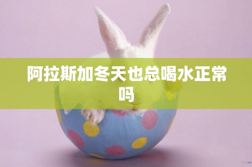 阿拉斯加冬天也總喝水正常嗎