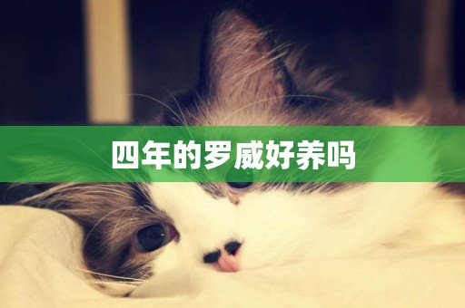 四年的羅威好養嗎