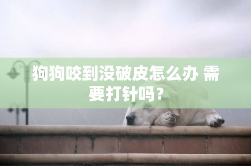 狗狗咬到沒破皮怎么辦 需要打針嗎？