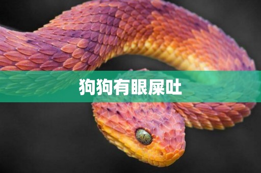 狗狗有眼屎吐
