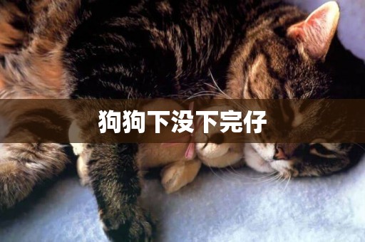 狗狗下沒下完仔