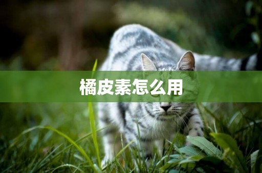 橘皮素怎么用