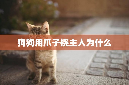 狗狗用爪子撓主人為什么