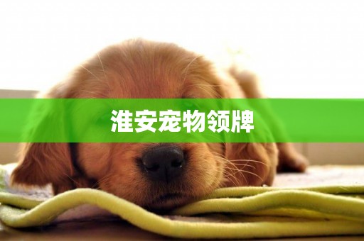 淮安寵物領牌