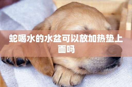 蛇喝水的水盆可以放加熱墊上面嗎