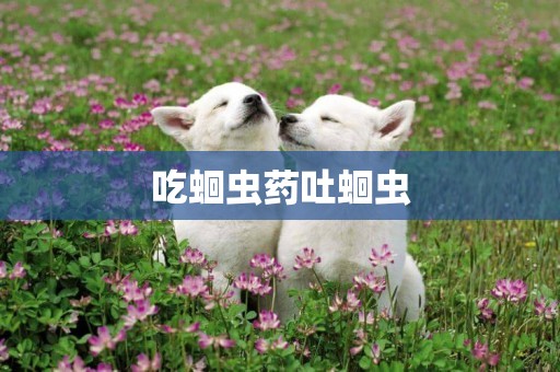 吃蛔蟲藥吐蛔蟲