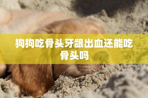 狗狗吃骨頭牙齦出血還能吃骨頭嗎