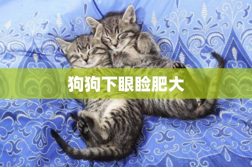 狗狗下眼瞼肥大