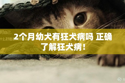 2個月幼犬有狂犬病嗎 正確了解狂犬病！