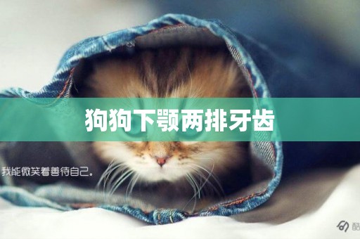 狗狗下顎兩排牙齒