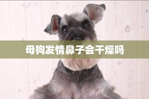 母狗發情鼻子會干燥嗎