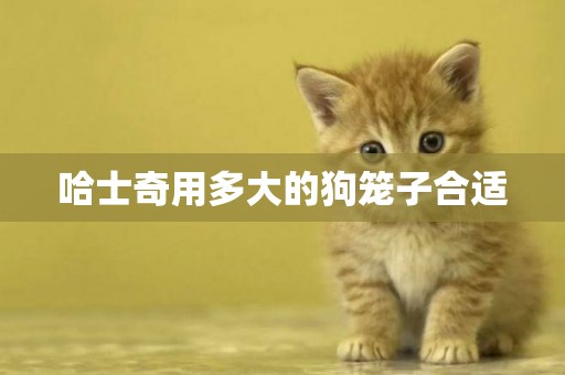 哈士奇用多大的狗籠子合適